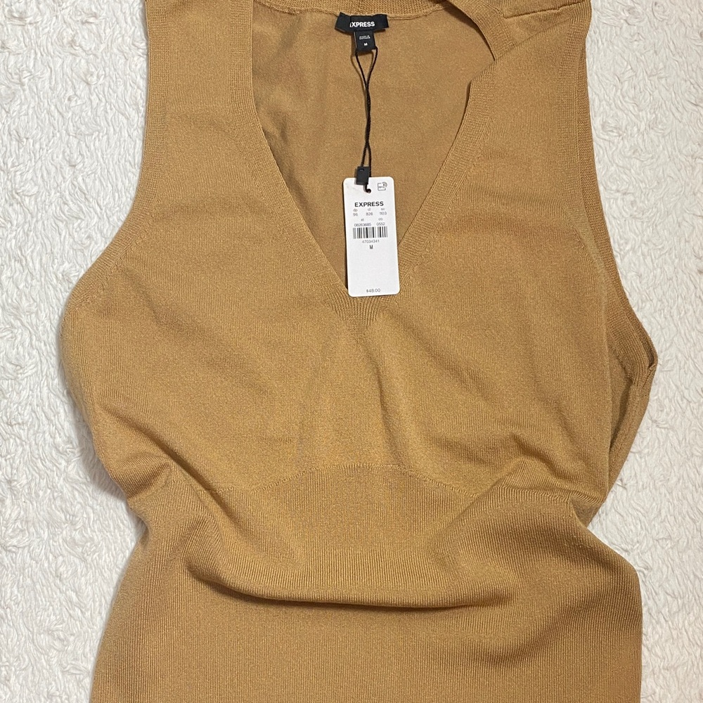 Express Women's Camel V-Neck Sweater Top NWT